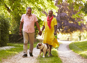 Couple walking dog in forest